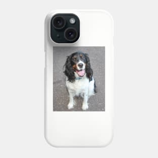 english springer spaniel black white tan sitting Phone Case