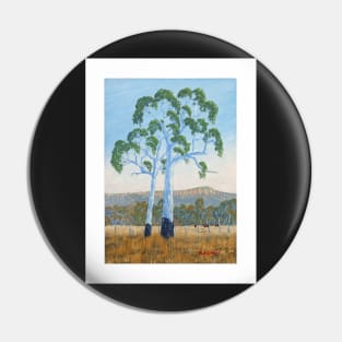 Gum Trees, Looking to Mt Stuart Townsville - Oil on board Pin