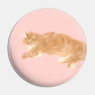 Big Fluffy Kitty Pin