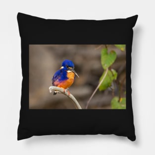 Azure Kingfisher, Kakadu National Park Pillow