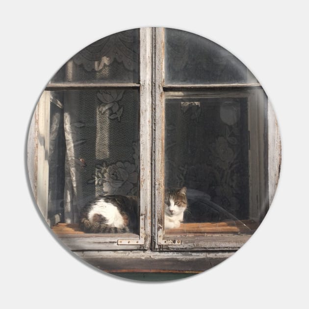 Window Cat Pin by TenomonMalke