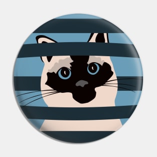 Cute Siamese cat blue eyes Pin