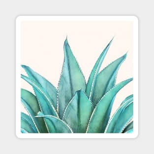 Agave Magnet