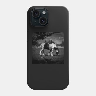 Grazing Black And White Horse Phone Case