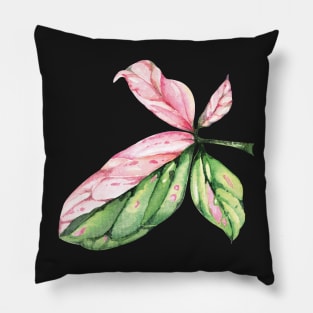 Syngonium Pink Splash Leaf Pillow