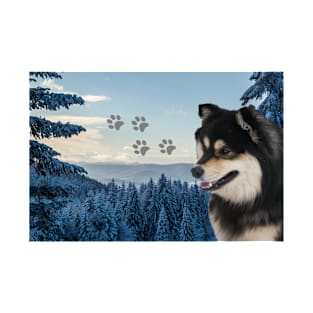 Finnish lapphund T-Shirt