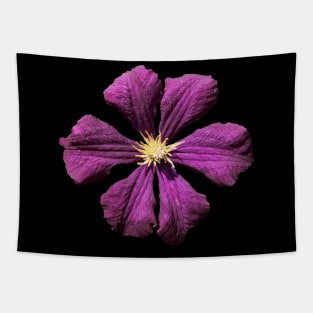 Purple Clematis Tapestry