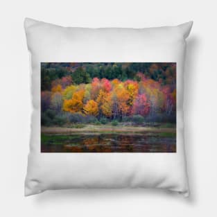 Burst of Fall Pillow