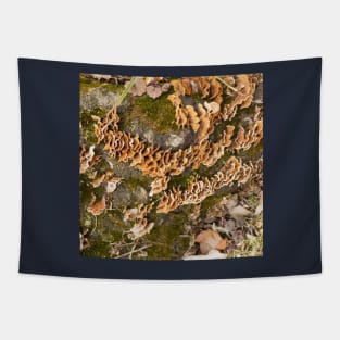 Bracket fungus Tapestry