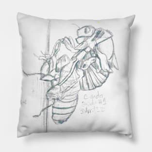 Graphite Cicada Pillow