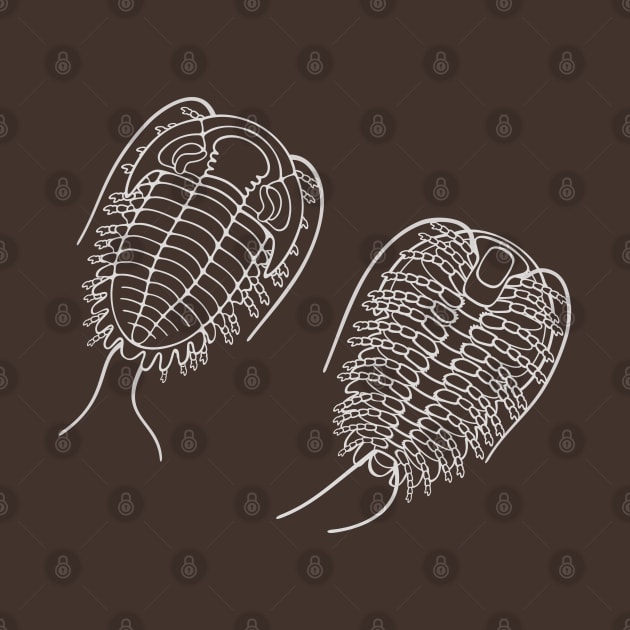 White Line Drawing of Phacopid Trilobite by taylorcustom