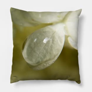 Water droplet on hydrangea Pillow