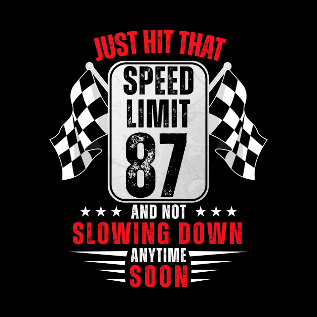 87th Birthday Speed Limit Sign 87 Years Old Racing by HollyDuck