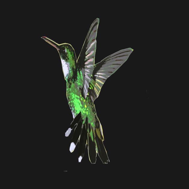 Humming bird by TriForceDesign