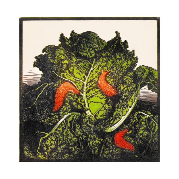 Slugs on Cabbage - Julie de Graag by ellanely