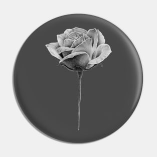 Minimalist rose without thorns drawing Pin