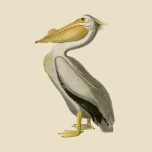 The American White Pelican T-Shirt