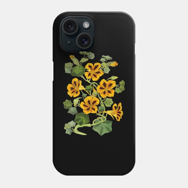 Nasturtium Flower Vintage Botanical Illustration Phone Case by Biophilia