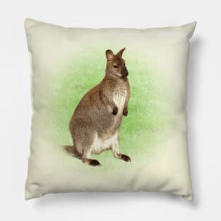 Kangaroo Pillow