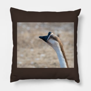 Chinese Goose Deep In Thought Pillow