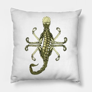 Zen (Scorpion) Pillow