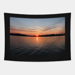 Pin Point Tapestry