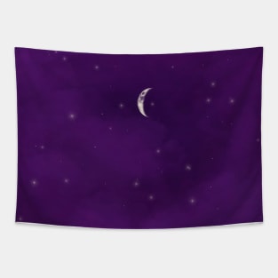 Violet, sparkly night sky Tapestry