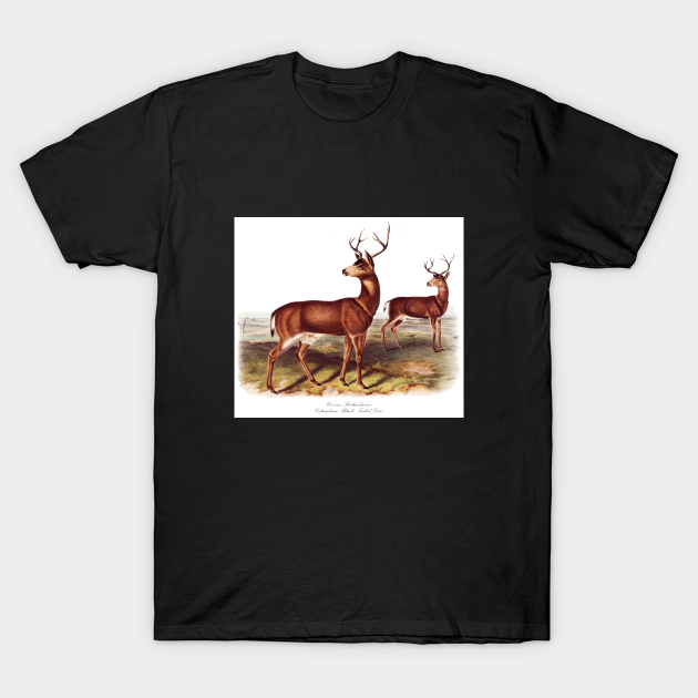 Discover Columbian Black-Tailed Deer - Wild Life - T-Shirt