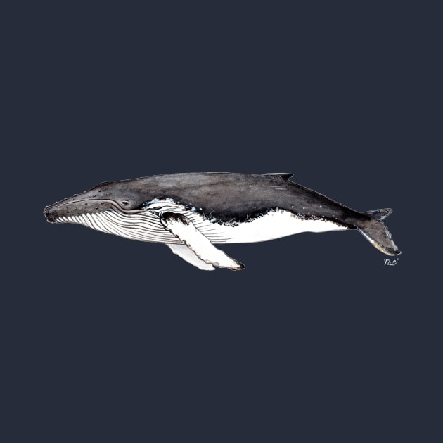 Humpback whale by chloeyzoard