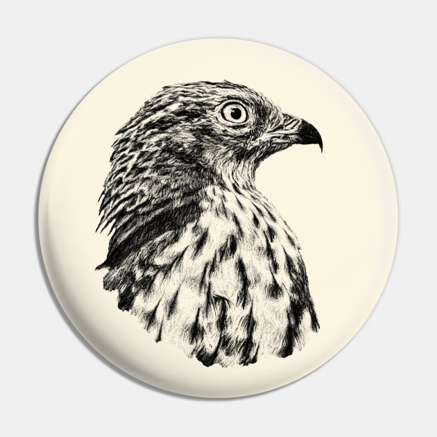 Honey buzzard Pin by Guardi