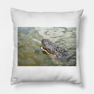 Crocodilian Pillow