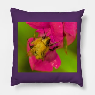 BEE PASSION Pillow