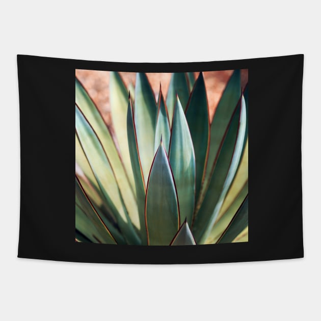 Agave Sun Tapestry by ALICIABOCK