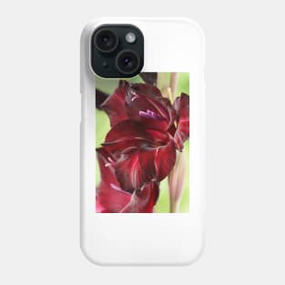 Gladiolus  &#39;Espresso&#39;  Sword lily Phone Case