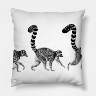 Three walking ring-tailed lemur monkeys Pillow