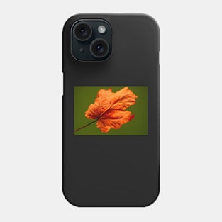 Dried Autumn Maple Leaf Phone Case