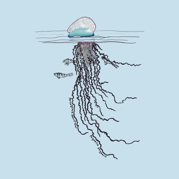 Portuguese Man O War-blue by mernstw