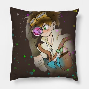 Let's Discover Pillow