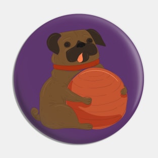 Pug Playing Pin