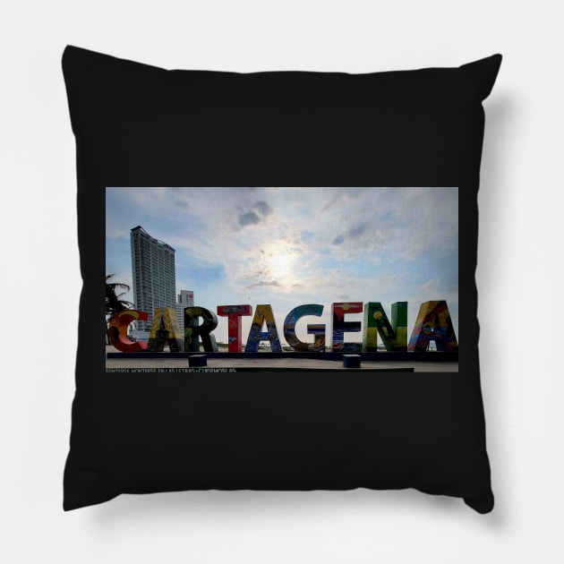 Cartagena Pillow by byEstherReid