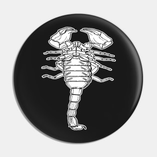 Scorpion | Insect Entomology Bugs Pin