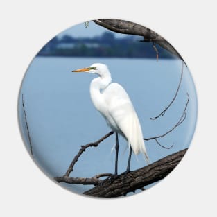 A Great Egret Standing Pin