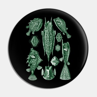 Ernst Haeckel Ostraciontes Fish Green Pin