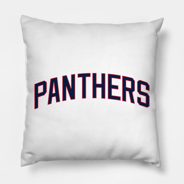 Panthers Pillow by teakatir