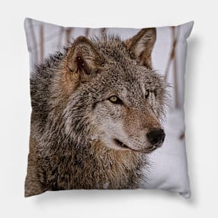 Timber Wolf Portrait Pillow