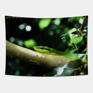 Grüne Mamba / Swiss Artwork Photography Tapestry