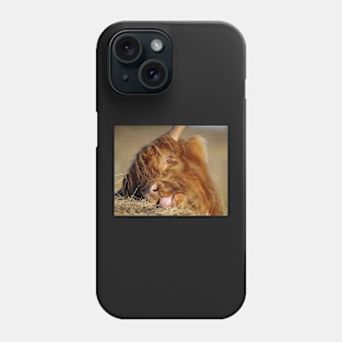 Highland cattle Phone Case