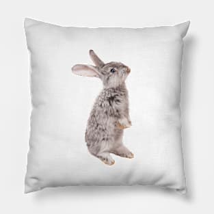 Rabbit 12 Pillow