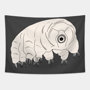 Biodiversity : the tardigrade Tapestry