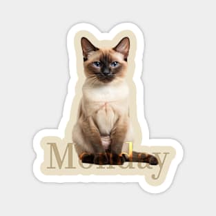 Monday cat (the week is starting...) Magnet